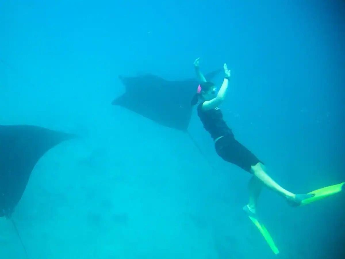 White Sandy Beach-Best Manta Snorkeling Tethi Exterior foto