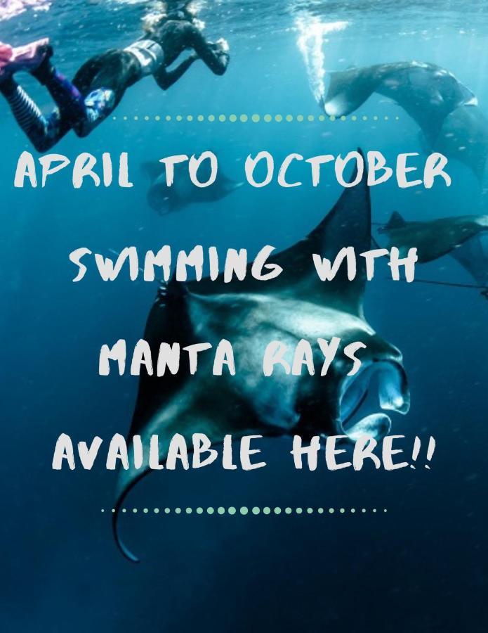 White Sandy Beach-Best Manta Snorkeling Tethi Exterior foto